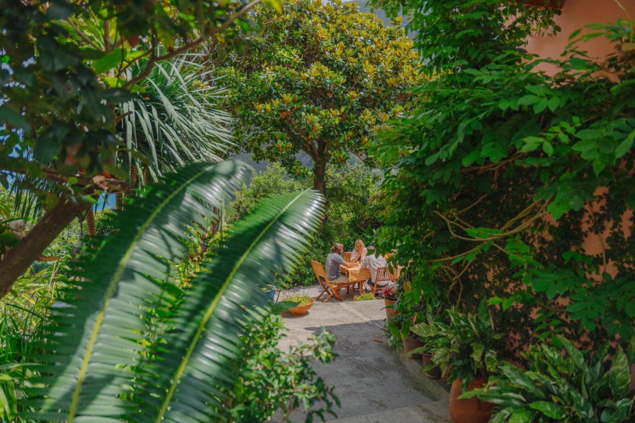 Madeira Surf Lodge São Vicente 外观 照片